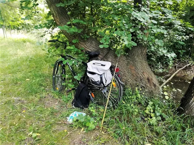 Ein Fahrrad mit Gepäcktaschen steht an einem Baum im Grünen neben einem kleinen Bach.