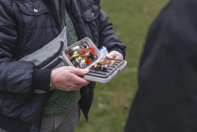 Fliegen in der Hand in der Box