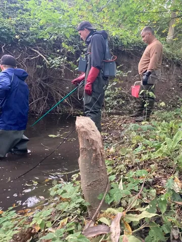 Drei Personen stehen an einem kleinen Bach im Grünen, zwei davon tragen Wat- und Arbeitskleidung sowie Geräte auf dem Rücken, eine Person steht im Wasser.