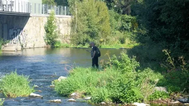 Eine Person steht mit einem Rucksack am Ufer eines Flusses, umgeben von grüner Vegetation.