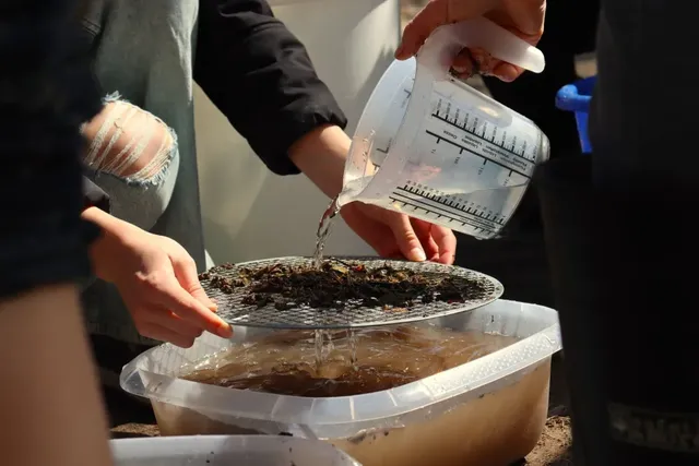 Zwei Personen gießen mit einem Messbecher Wasser durch ein Sieb in eine durchsichtige Wanne.