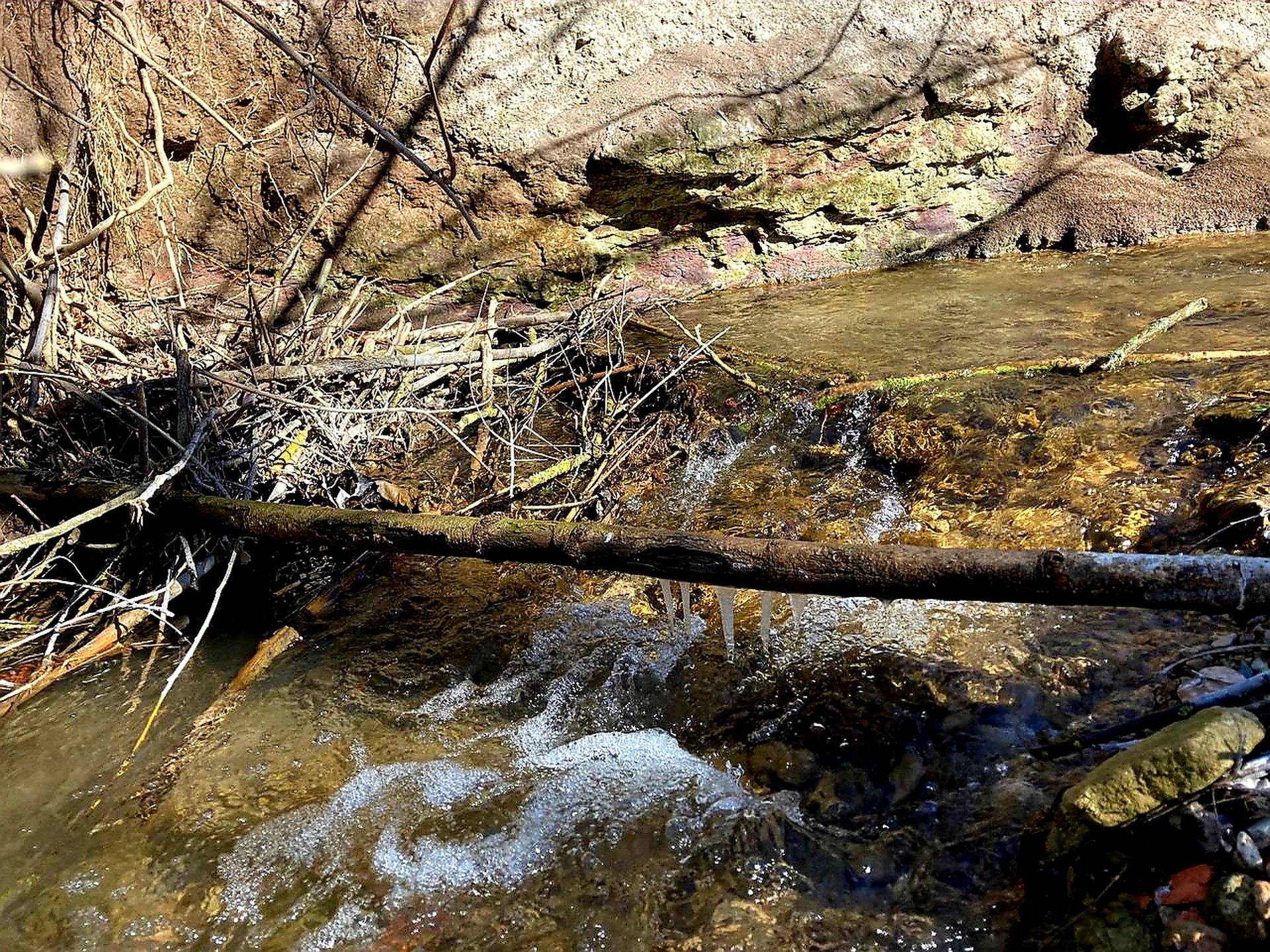 Kleiner Bach mit flachem Wasser, Steinen und Ästen, im Hintergrund eine sandige Böschung.