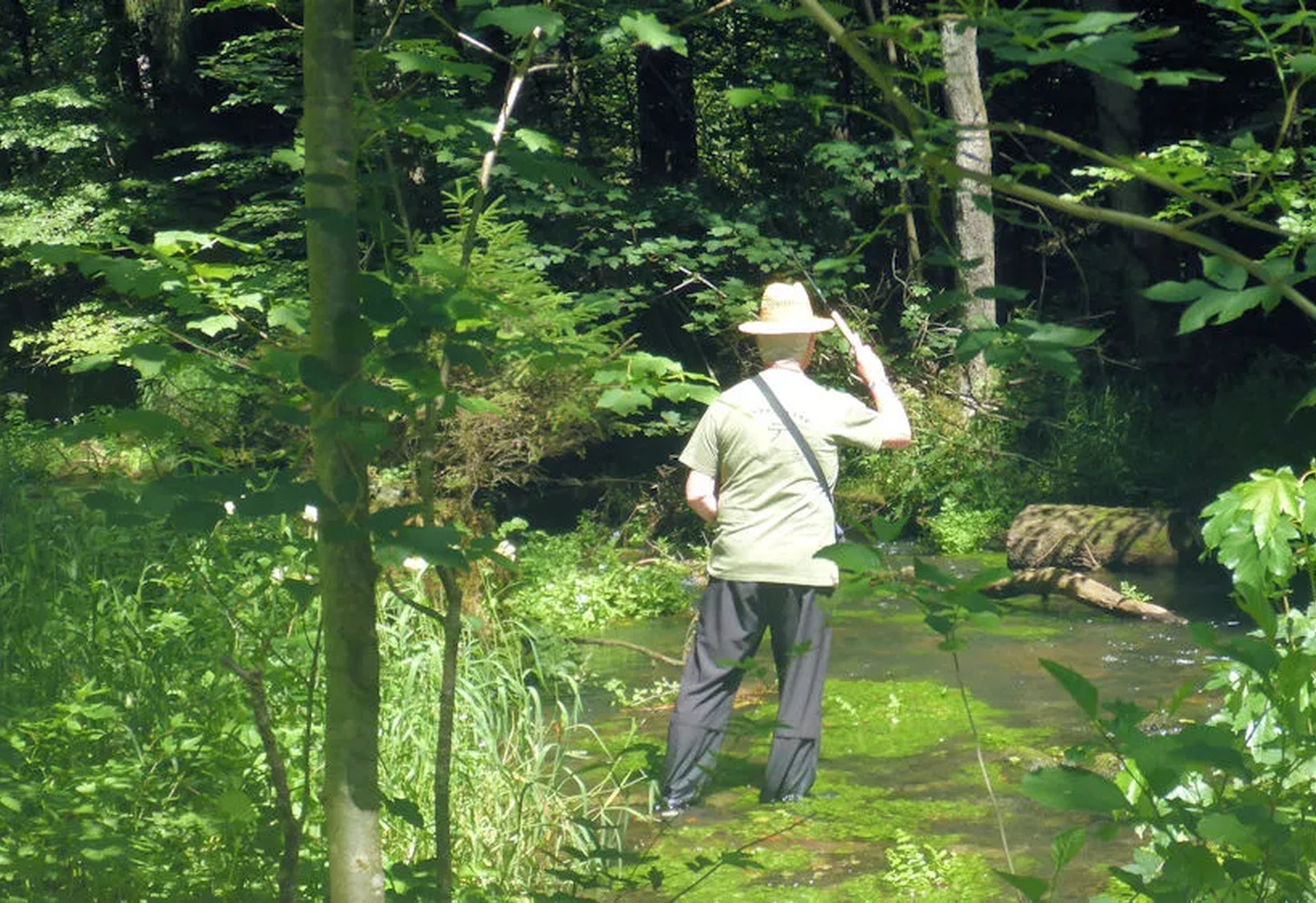 Eine Person mit Hut steht in einem sonnigen Wald am Ufer eines kleinen Bachs und blickt ins Grüne.