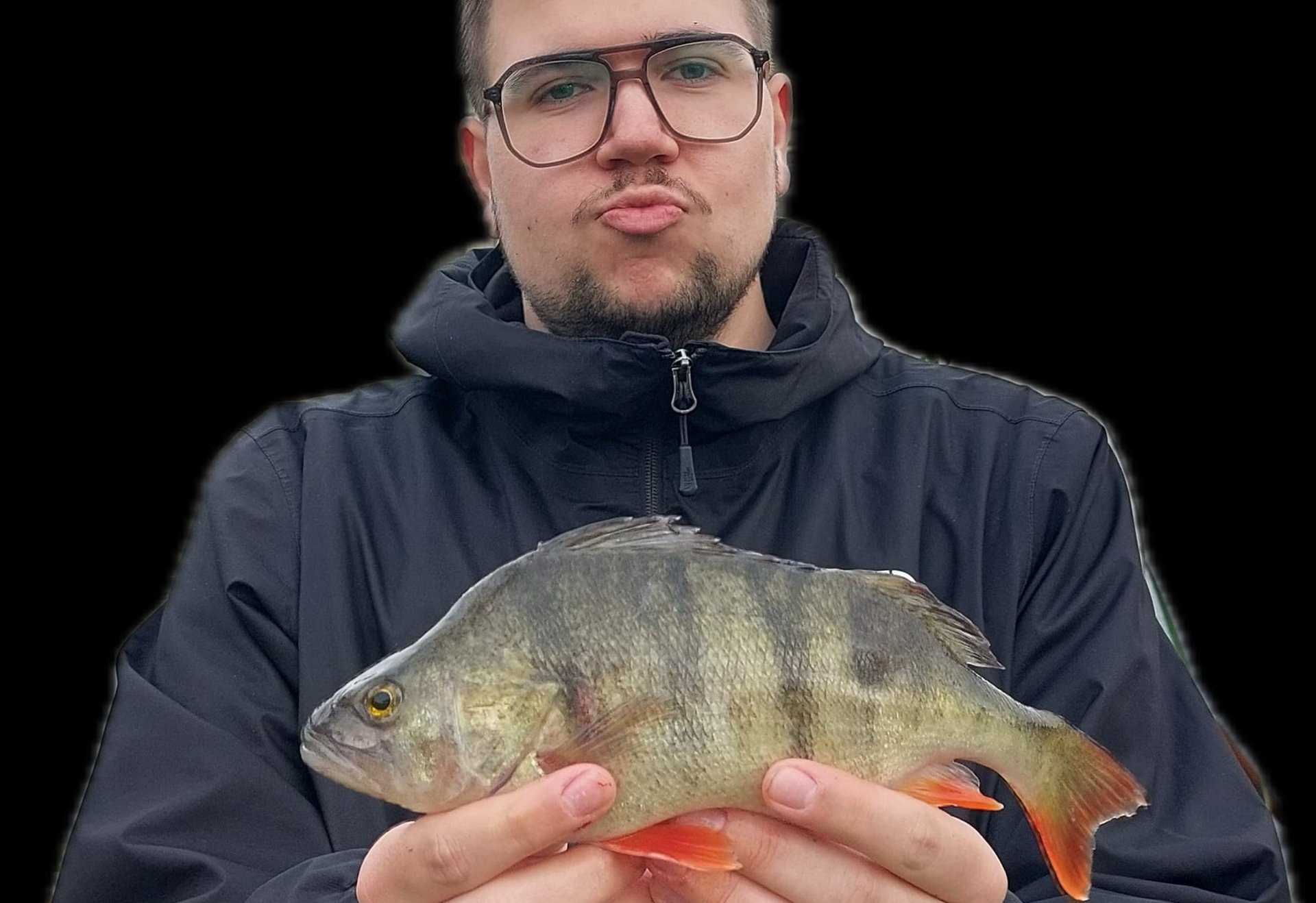 Eine Person in dunkler Jacke hält einen Barsch mit orangefarbenen Flossen vor neutral dunklem Hintergrund.