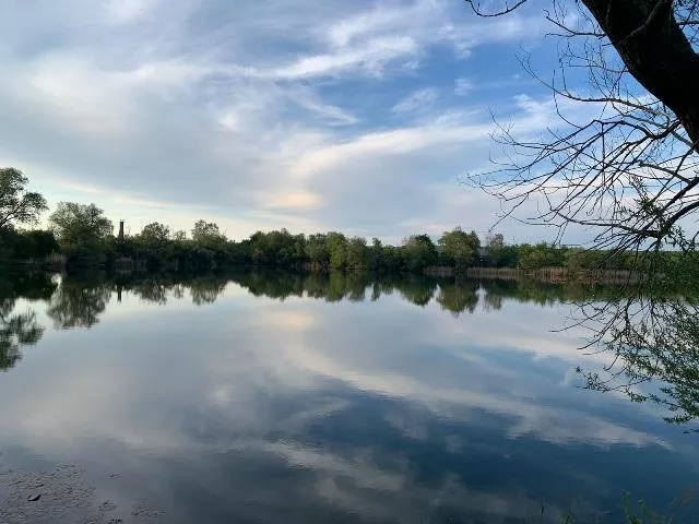 Ein ruhiger See mit Spiegelung von Bäumen und Himmel, umgeben von grüner Vegetation, unter leicht bewölktem Himmel.