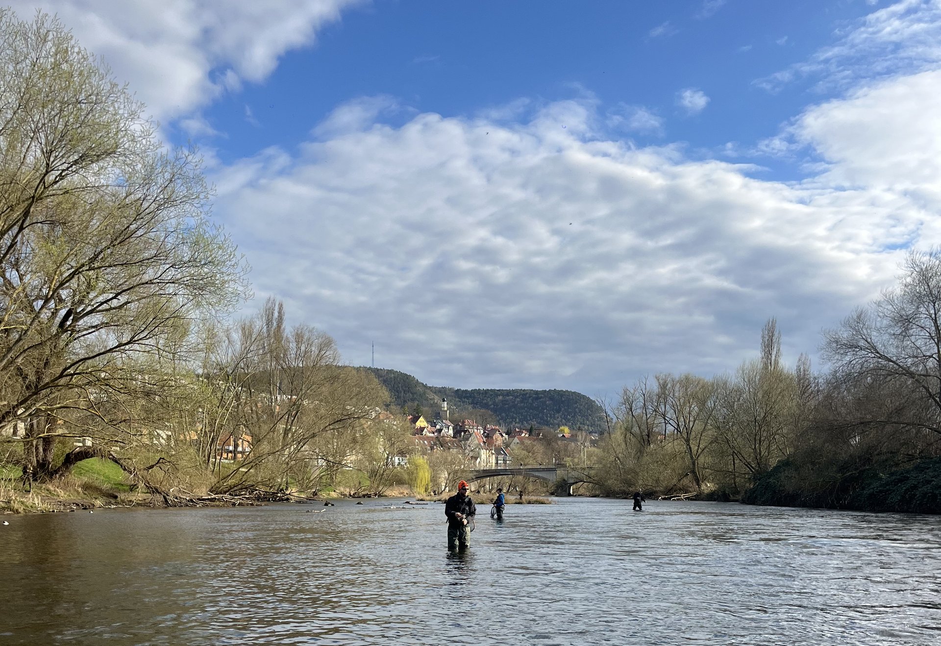 Mehrere Angler stehen im Fluss bei Jena und fischen – im Hintergrund sieht man bunte Häuser, eine Brücke und bewaldete Hügel unter einem teils blauen Himmel.