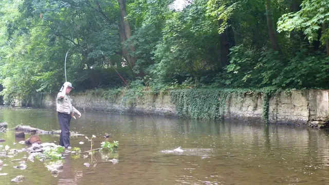 Ein Mann steht am Ufer eines Flusses und angelt, umgeben von dichter grüner Vegetation.