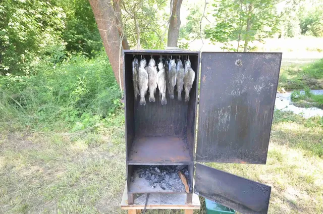 Mehrere Fische hängen in einem geöffneten Räucherofen im Freien.