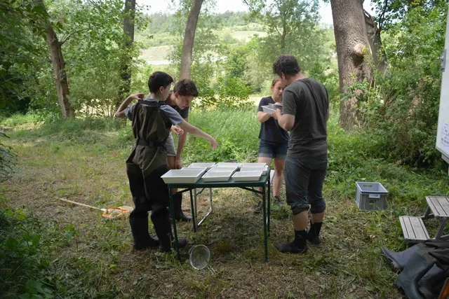 Vier Menschen stehen im Grünen um einen Klapptisch mit weißen Behältern und untersuchen etwas, umgeben von Bäumen und Wiese.