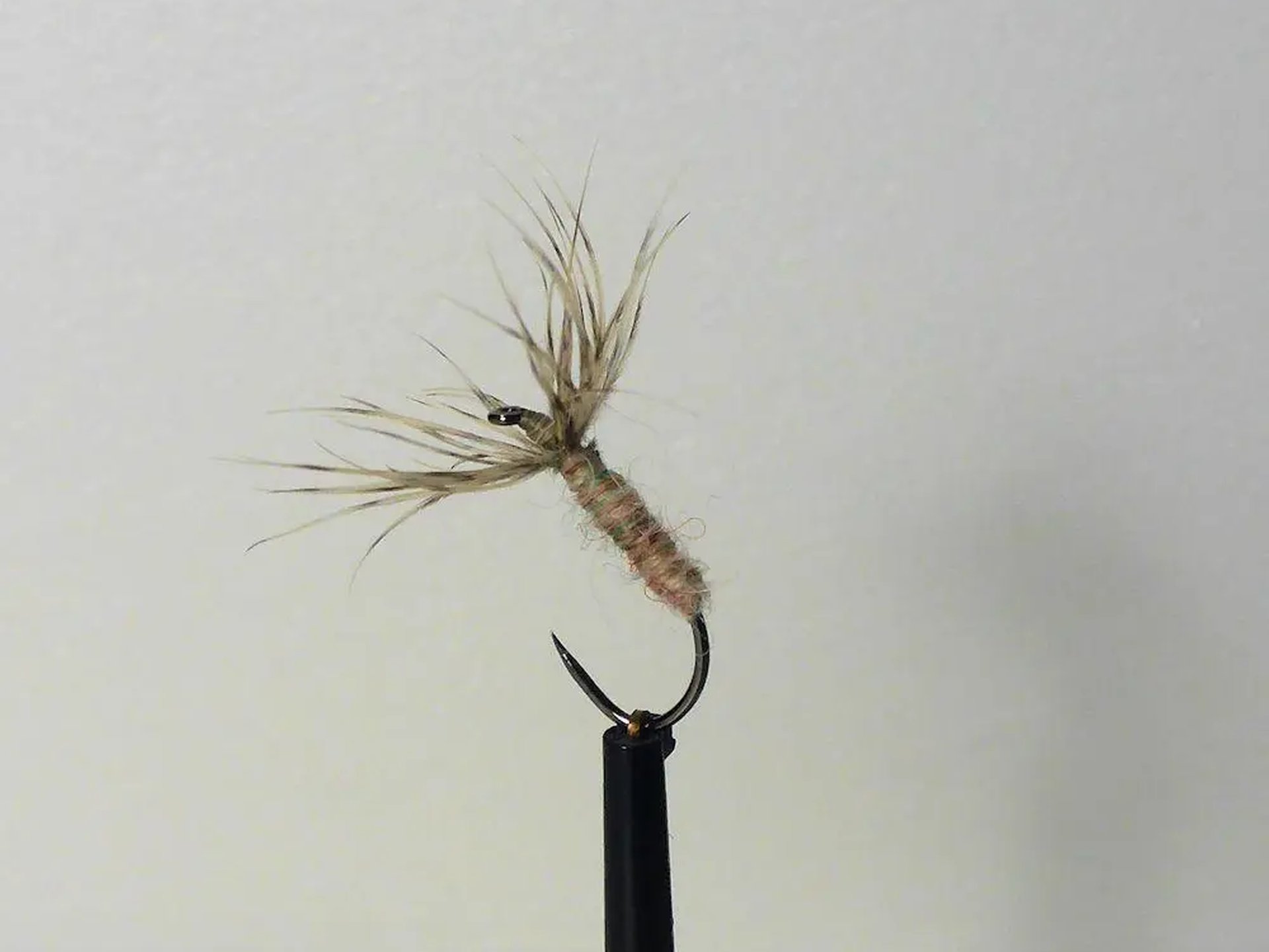 Einzelner künstlicher Fliegenköder zum Fliegenfischen vor neutralem Hintergrund.