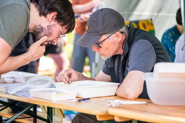 Zwei Männer sitzen an einem Tisch im Freien und betrachten gemeinsam konzentriert Objekte in weißen Wannen.
