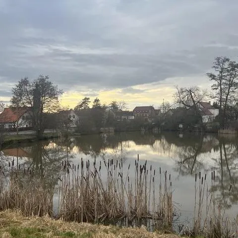 Ein See mit Schilf im Vordergrund, umgeben von Bäumen und Häusern, unter einem bewölkten Himmel.