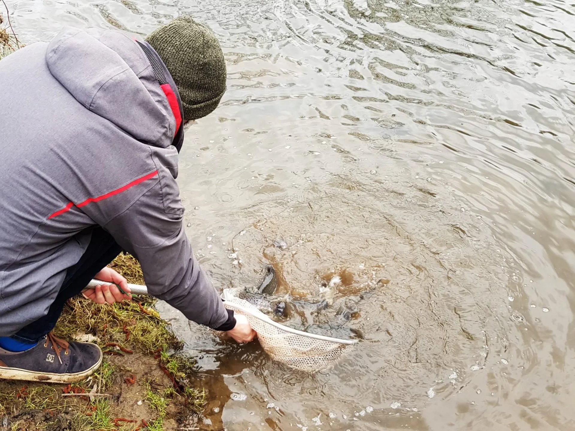 Eine Person kniet am Ufer eines Gewässers und hält ein Fischernetz ins Wasser.