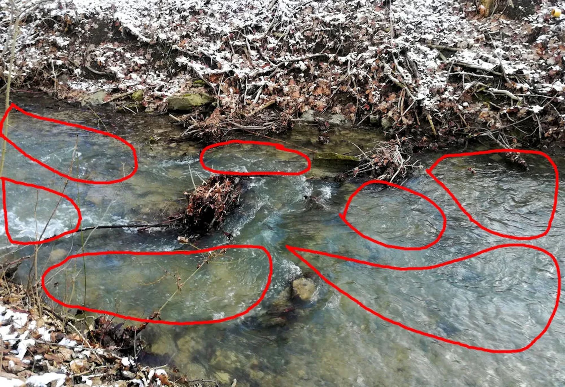 Ein kleiner Bach im Winter mit leicht verschneitem Ufer. Mehrere Bereiche im Wasser sind rot umrandet.