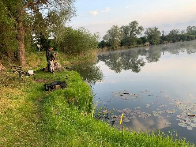 Ein Angler steht am Ufer eines ruhigen Sees, umgeben von grüner Natur und Bäumen.