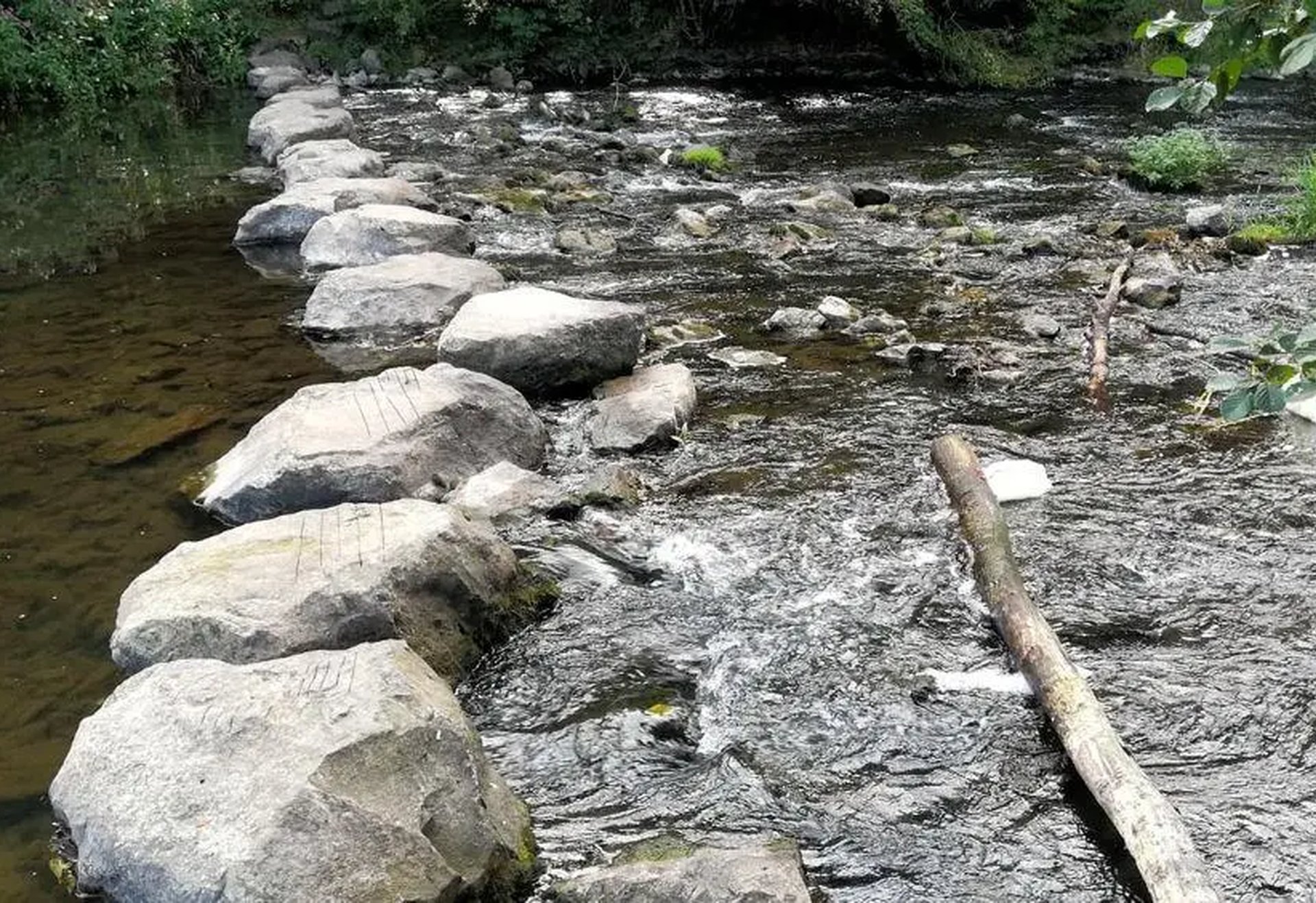 Große Trittsteine führen durch einen flachen Fluss, umgeben von Bäumen und Natur.