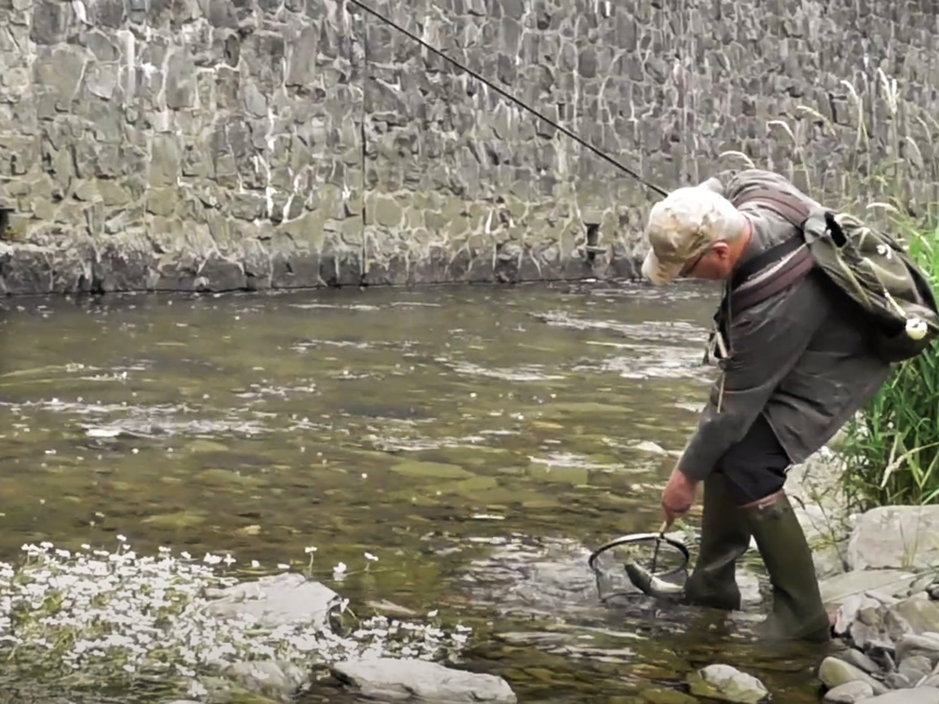 Ein Mann angelt an einem Fluss und hält ein Netz ins Wasser, während er am Ufer steht.