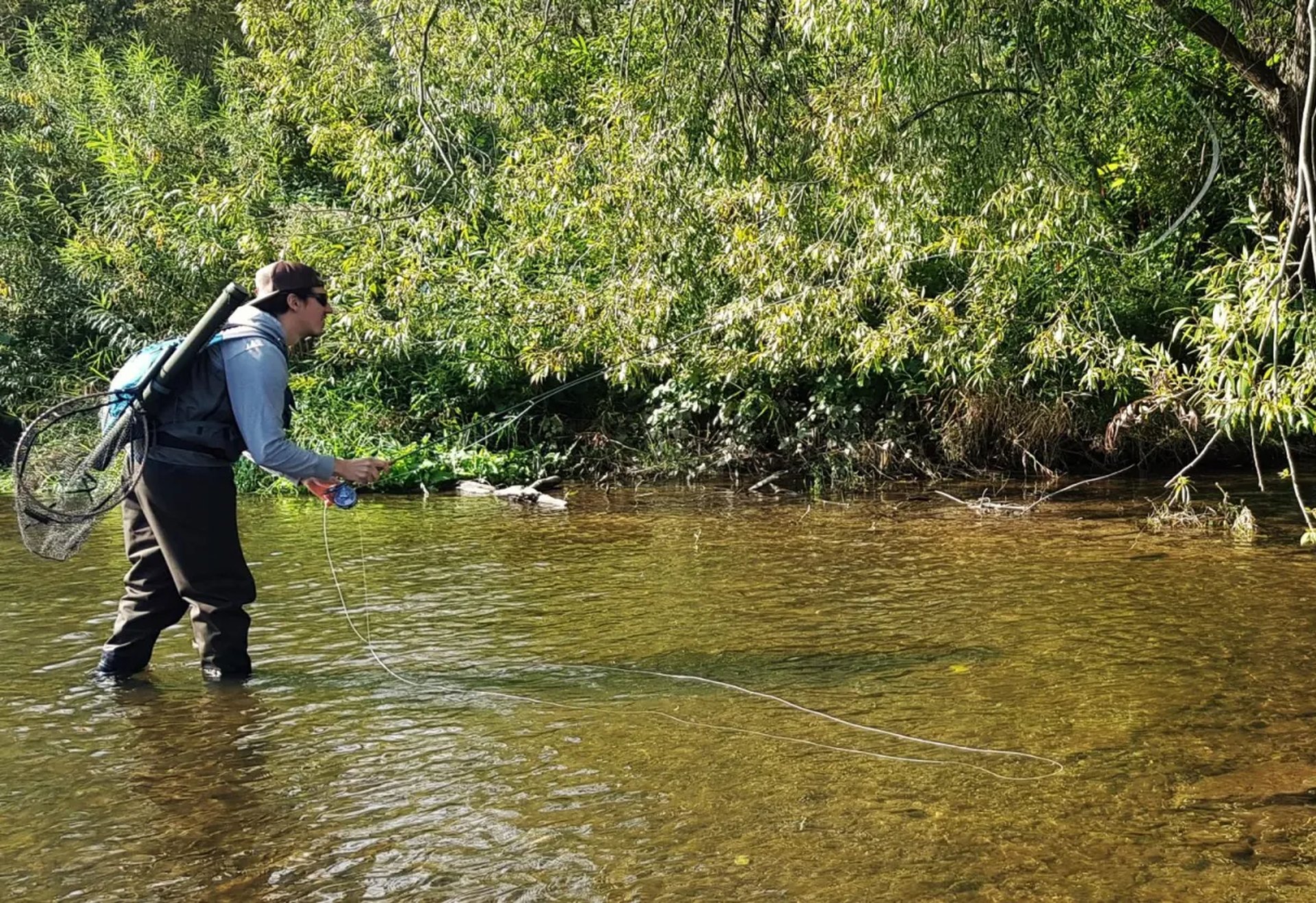 Eine Person steht mit Angelrute in einem flachen, klaren Fluss und angelt, umgeben von grüner Ufervegetation.