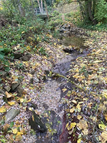 Kleiner Bach fließt durch einen bewaldeten Bereich, der mit Herbstlaub bedeckt ist. Im Hintergrund ist eine kleine Brücke zu sehen.