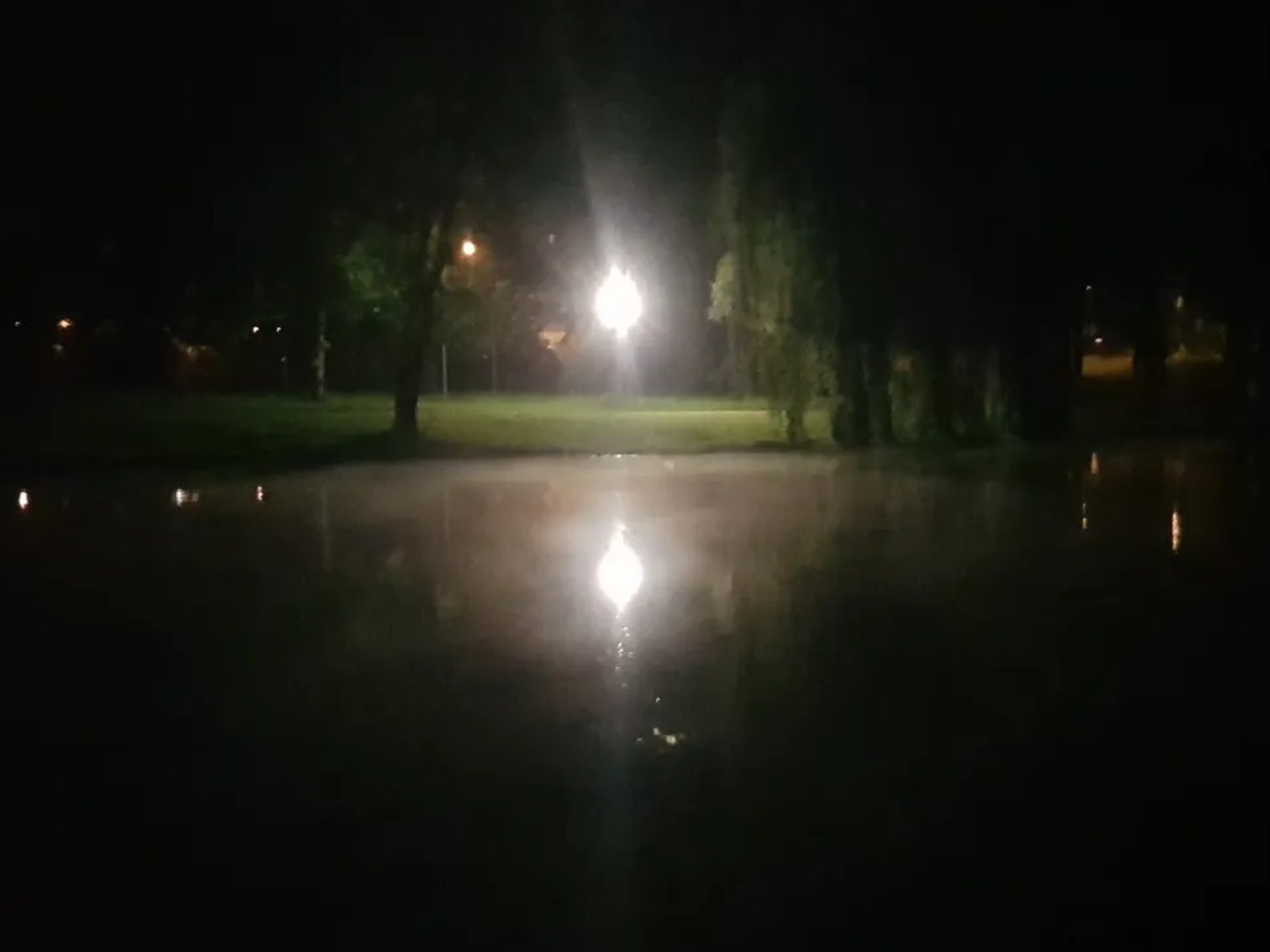 Eine helle Straßenlaterne leuchtet nachts durch Bäume und spiegelt sich in einem ruhigen See.