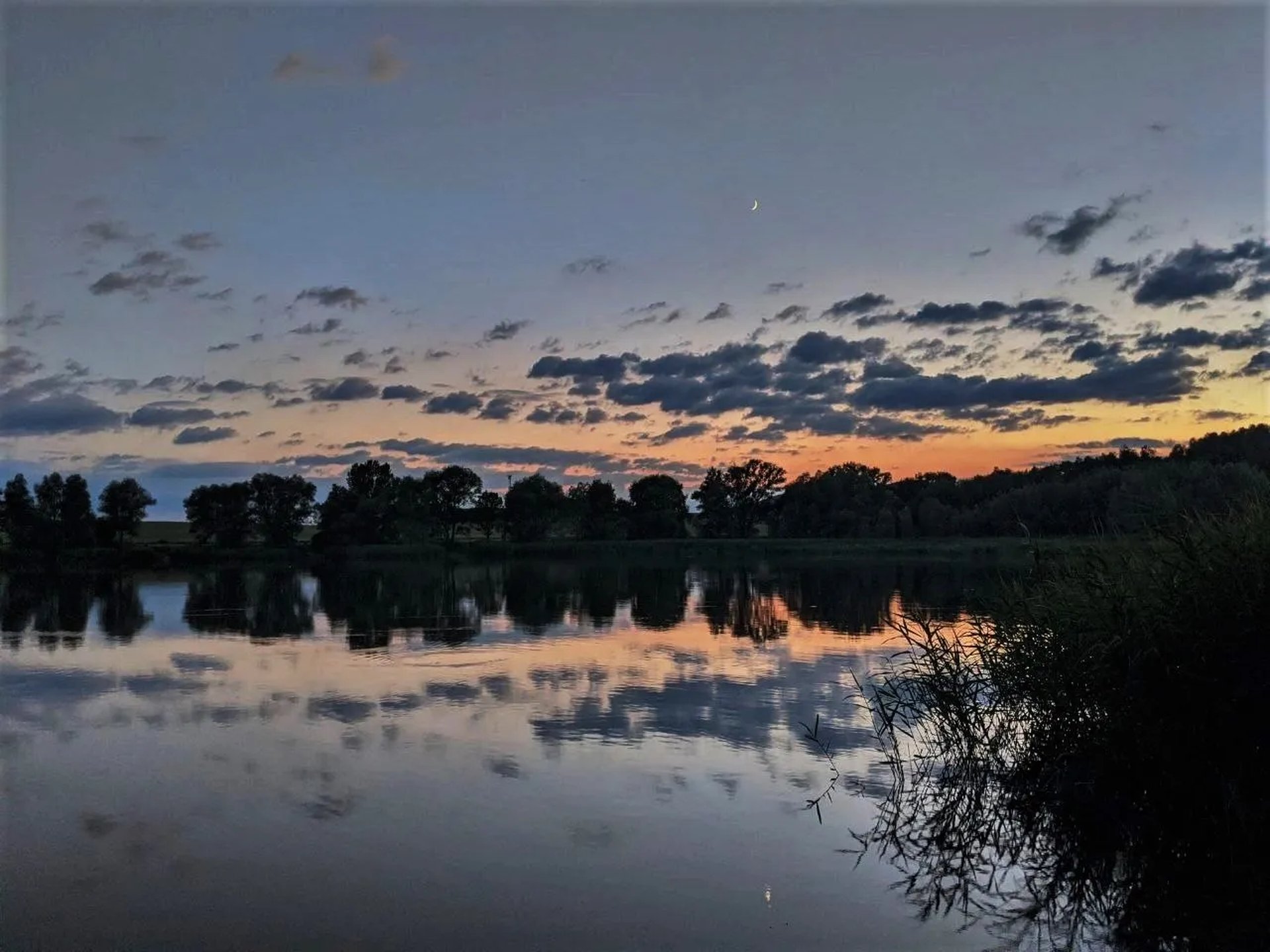 Seeufer bei Sonnenuntergang, mit Bäumen und bewölktem Himmel, die sich im ruhigen Wasser spiegeln.