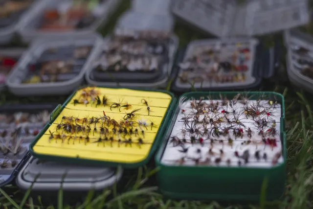 Fliegen in Boxen auf der Wiese