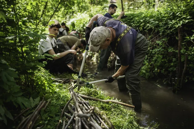 Mehrere Personen arbeiten in einem Bachlauf im Wald, schneiden Pflanzen und legen Äste ins Wasser.