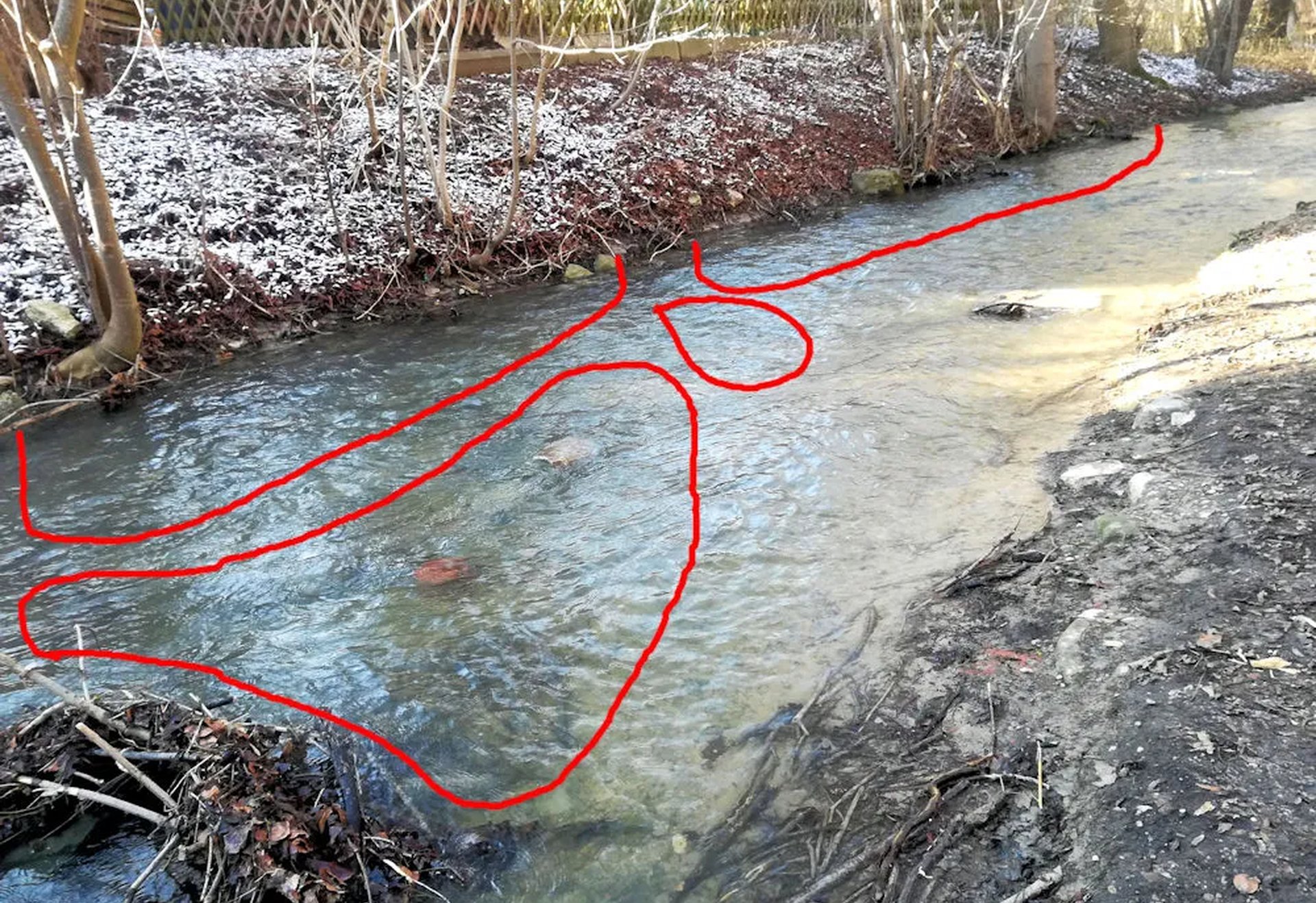 Ein Bach im Freien, über dessen Wasserführung mit roten Linien verschiedene Fließrichtungen markiert sind.