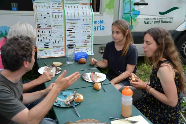 Vier Personen sitzen an einem Tisch im Freien und essen gemeinsam; im Hintergrund sind Infoposter zu Insekten und ein Fahrzeug mit der Aufschrift „Sächsische Landesstiftung Natur und Umwelt“ zu sehen.