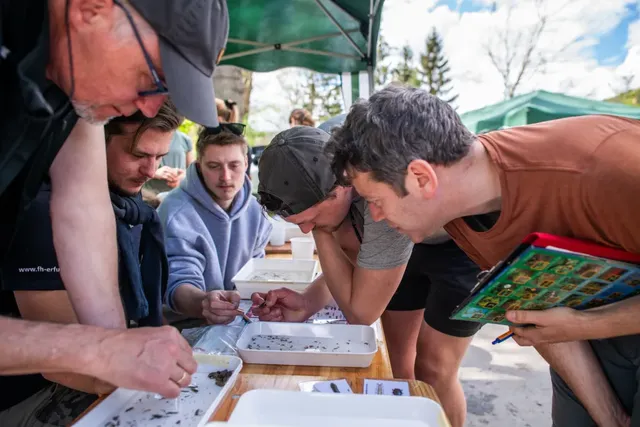 Eine Gruppe von Menschen untersucht gemeinsam kleine Objekte oder Tiere in weißen Wannen auf einem Tisch im Freien.