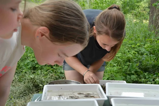 Drei Kinder beugen sich draußen über weiße Wannen mit Wasser und untersuchen deren Inhalt.