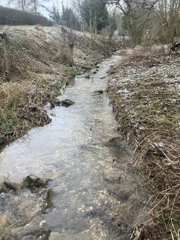 Ein schmaler Bach fließt durch eine winterliche, teils schneebedeckte Landschaft mit kahlen Bäumen und braunem Gras.