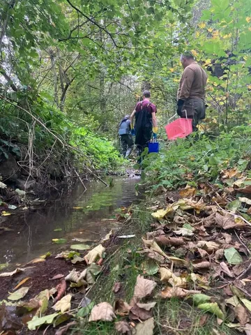 Mehrere Personen gehen an einem kleinen Bach durch einen bewaldeten Bereich, manche tragen Eimer.