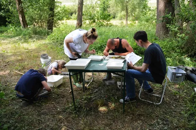 Vier Personen sitzen und arbeiten an einem Tisch im Freien, umgeben von Bäumen und Wiese.