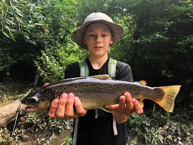Ein Junge mit Hut hält eine große Forelle vor sich, im Hintergrund ist dichter Wald zu sehen.