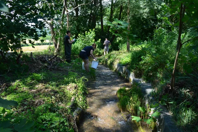 Drei Menschen arbeiten an einem kleinen Bach in einem bewaldeten Gebiet, einer von ihnen hält einen Eimer ins Wasser.