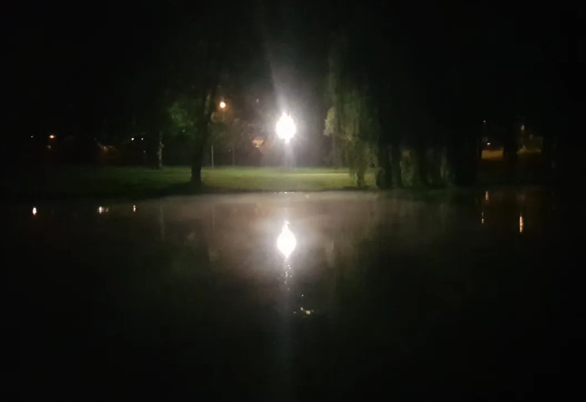 Eine helle Straßenlaterne leuchtet nachts an einem See, ihr Licht spiegelt sich im Wasser.