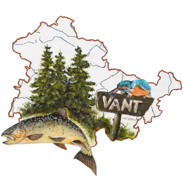 Zeichnung einer Landschaft mit Tannen, einem braunen Fisch im Vordergrund, einem Eisvogel auf einem Schild mit der Aufschrift "VANT" und einer weißen, kartierten Umrissform im Hintergrund.