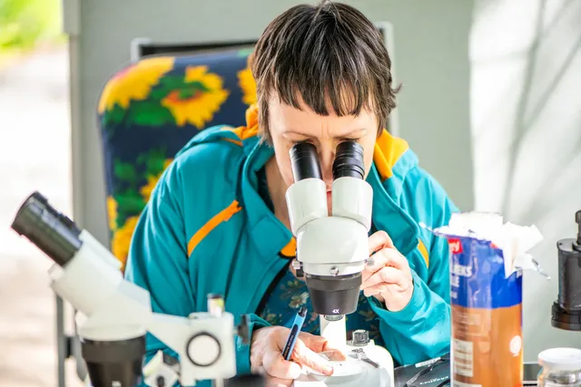 Eine Person betrachtet eine Probe durch ein Mikroskop und macht Notizen.