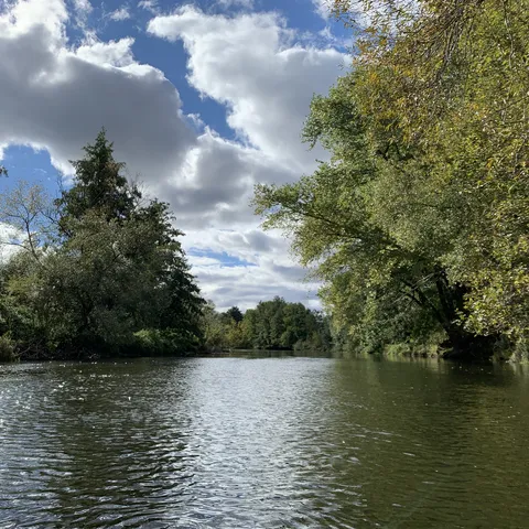 Ein Fluss mit umgebenden Bäumen unter einem teilweise bewölkten Himmel.