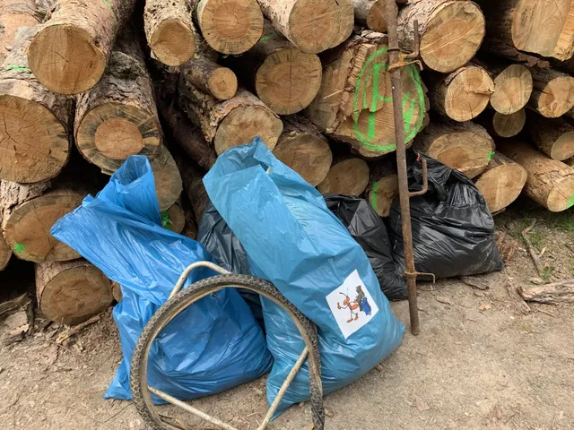 Mehrere Müllsäcke, ein alter Fahrradreifen und ein Metallgegenstand liegen vor einem Stapel Baumstämme im Wald.