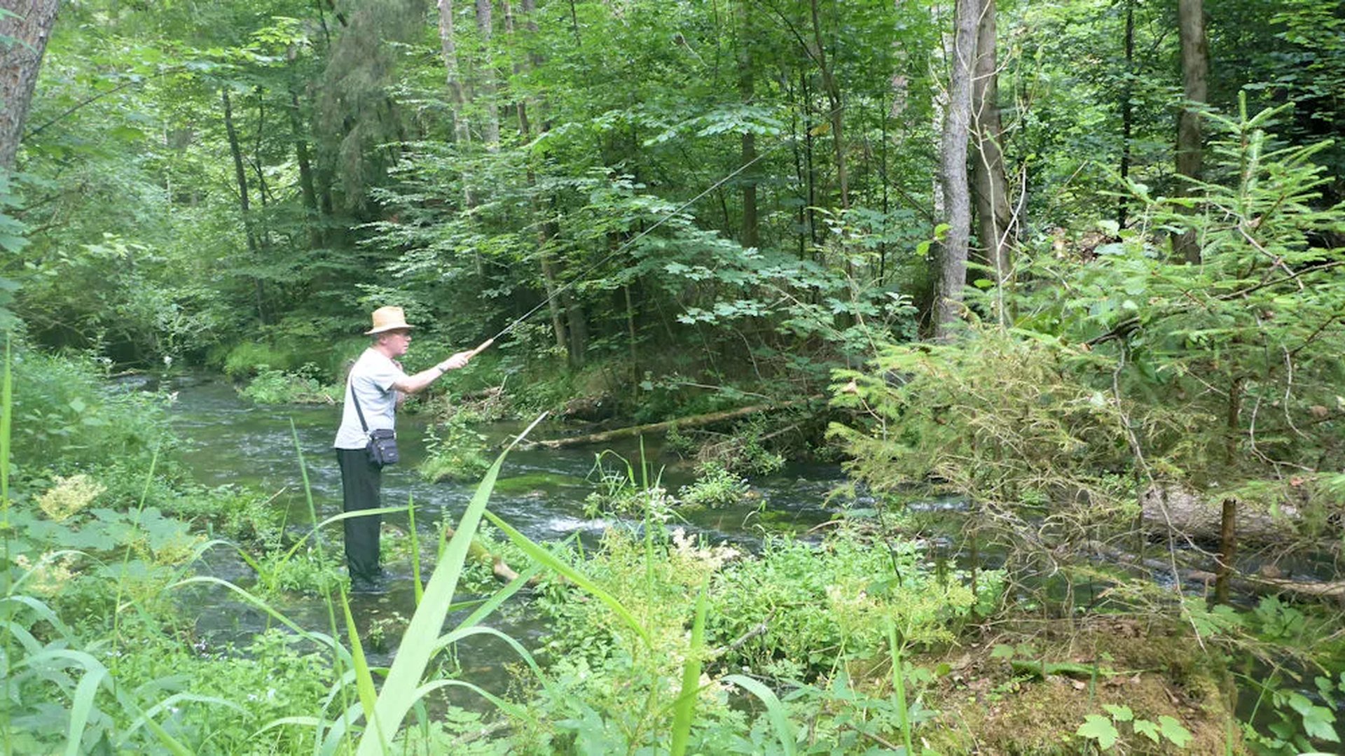 Ein Mann angelt an einem kleinen Fluss im grünen Wald.