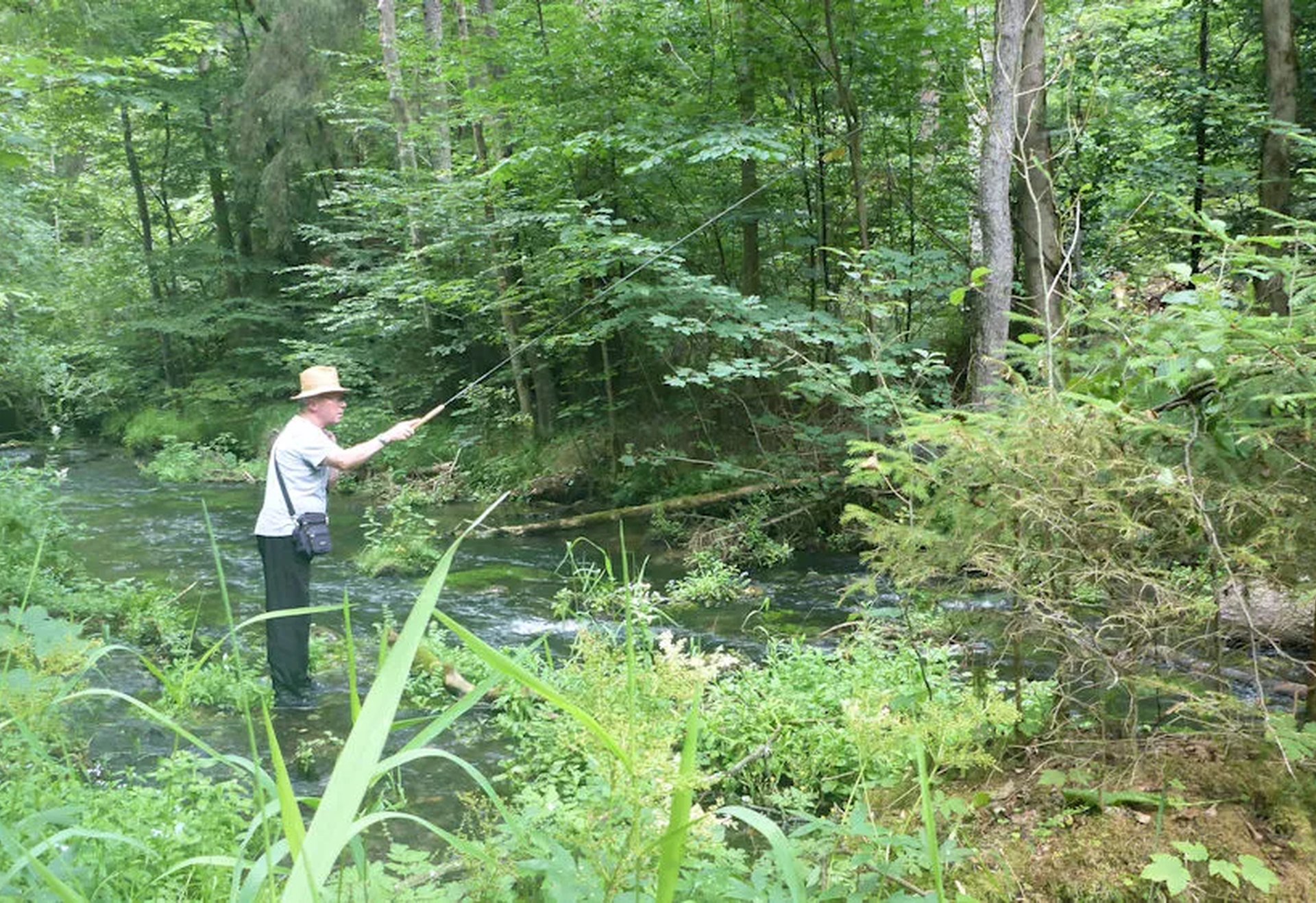 Ein Mann angelt an einem kleinen Fluss im grünen Wald.