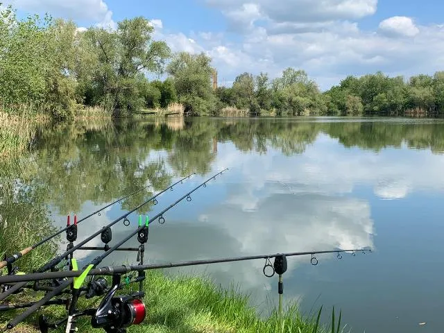 Drei Angelruten stehen am Ufer eines ruhigen Sees, der von Bäumen umgeben ist und den Himmel spiegelt.