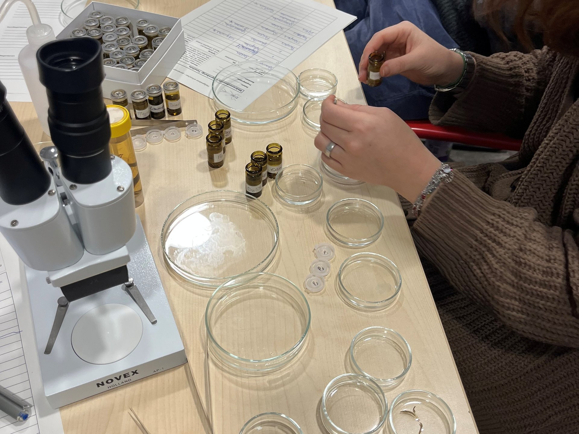 Eine Person öffnet Glasbehälter und Proben neben einem Mikroskop auf einem Labortisch.