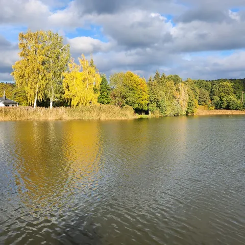 Ein See mit ruhiger Wasseroberfläche, umgeben von herbstlich gefärbten Bäumen und einigen Häusern am Ufer unter wolkigem Himmel.