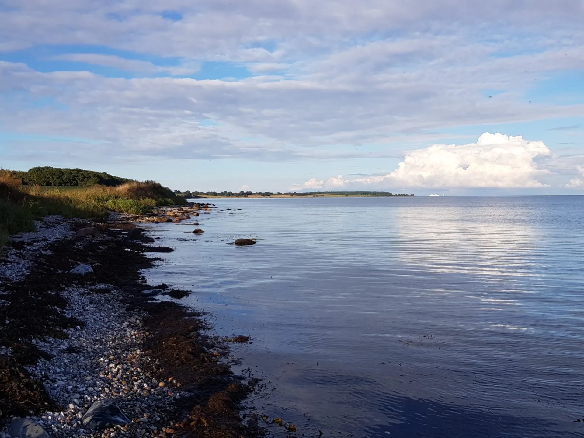 Kieselige Küste mit ruhigem Wasser und bewachsenen Uferbereichen unter teils bewölktem Himmel.