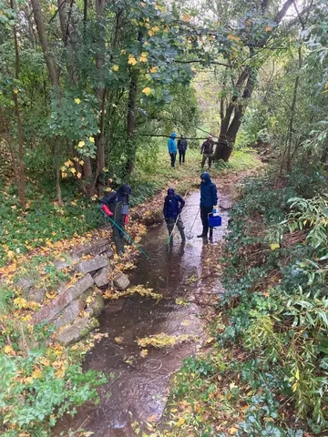 Mehrere Menschen stehen mit Gummistiefeln und Werkzeugen in einem kleinen Bach, umgeben von herbstlicher Vegetation und Bäumen.