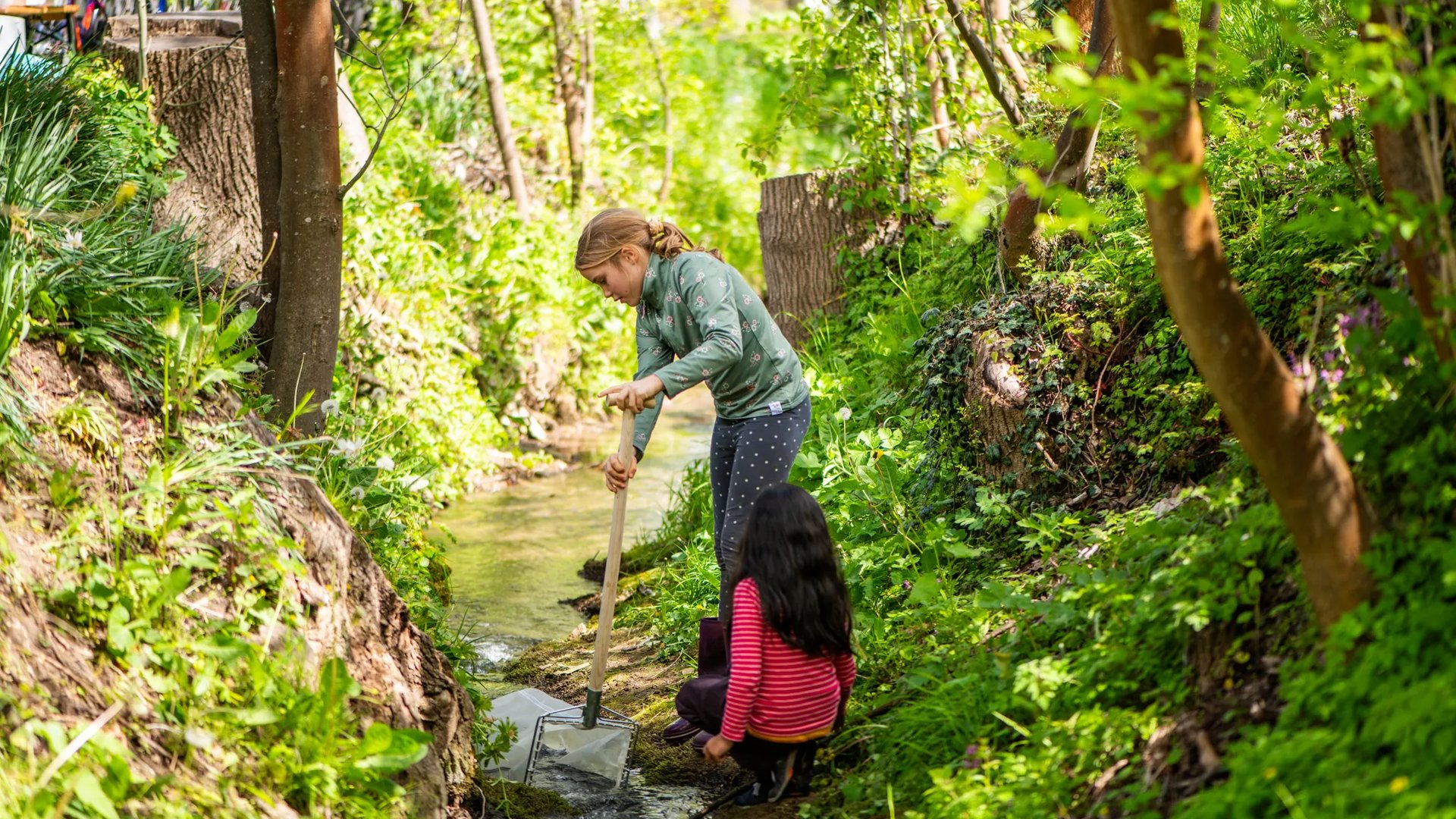 Zwei Kinder spielen an einem kleinen Bach im Grünen, eines nimmt mit einem feinen Kescher Proben aus dem Gewässer.