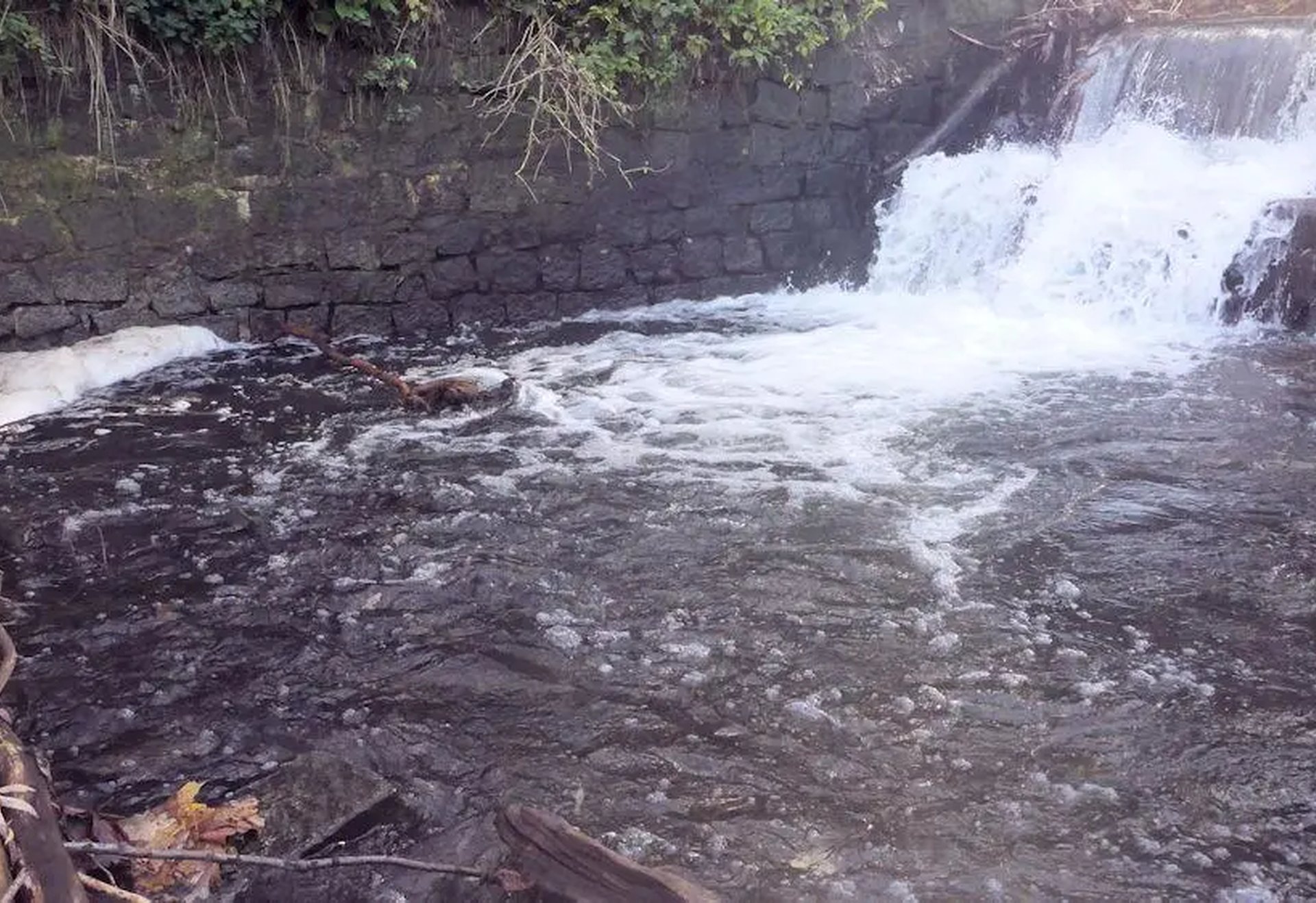 Kleiner Wasserfall mit steinernem Ufer und fließendem Bach, umgeben von etwas Grün und Treibholz.
